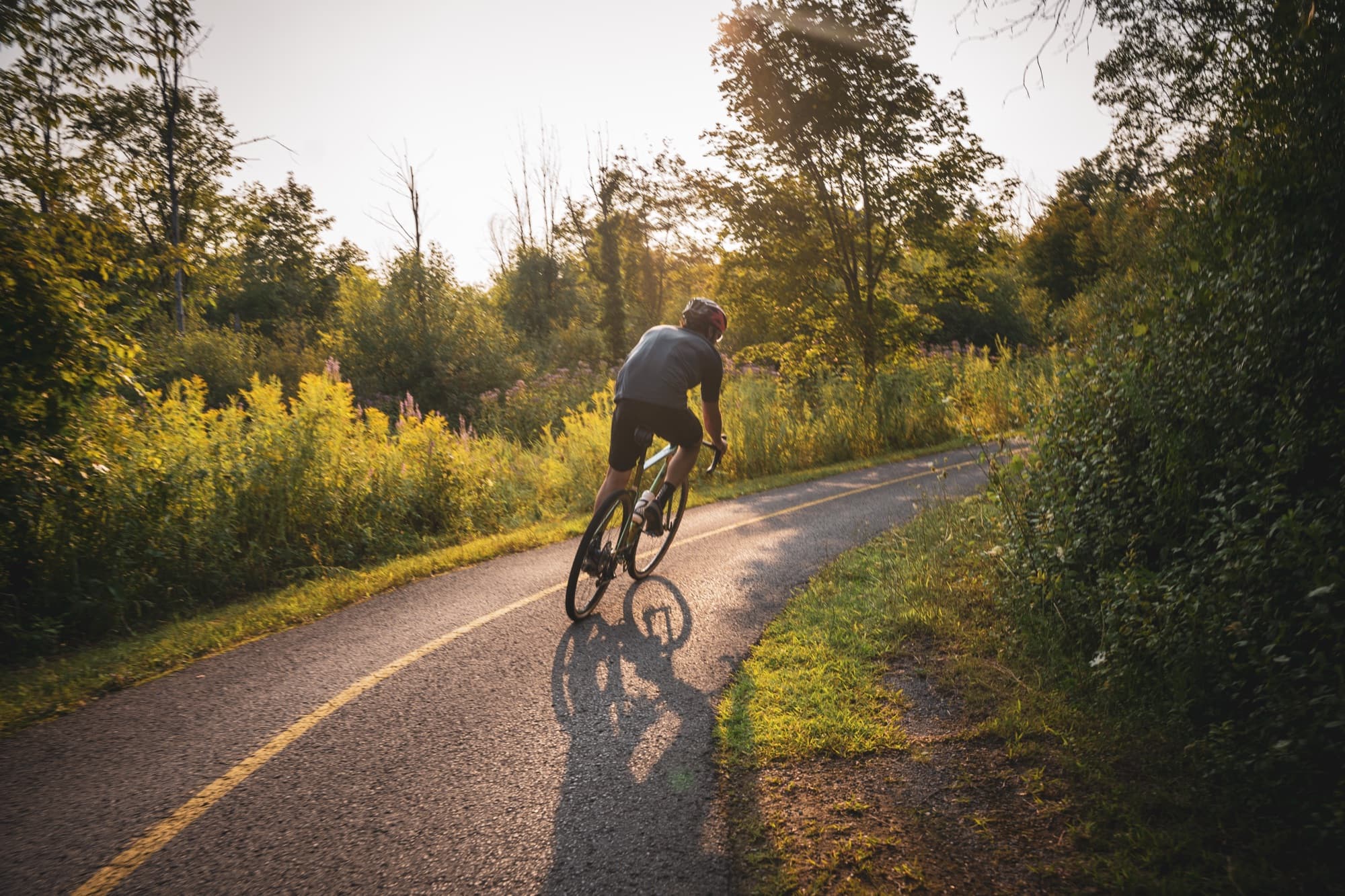 Golden hour on the pathway