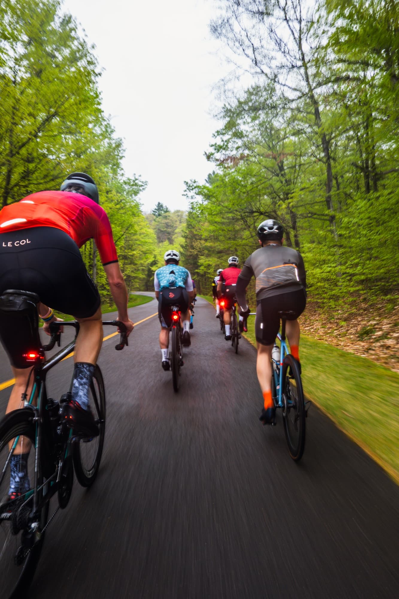 Into the woods on the parkway