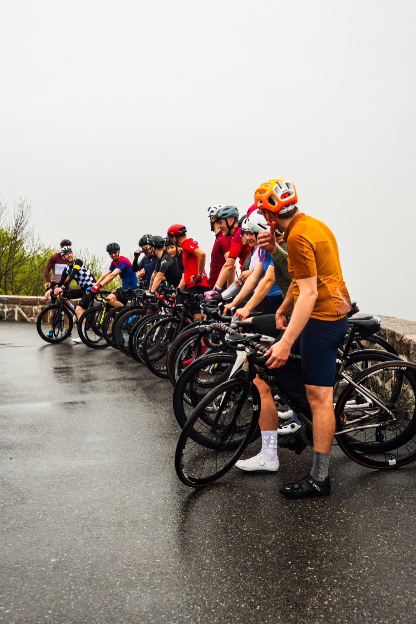 Lined up at the lookout in the mist