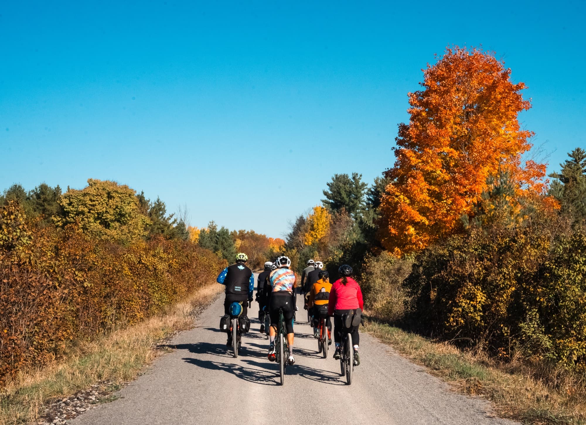 Fall colour on the back roads