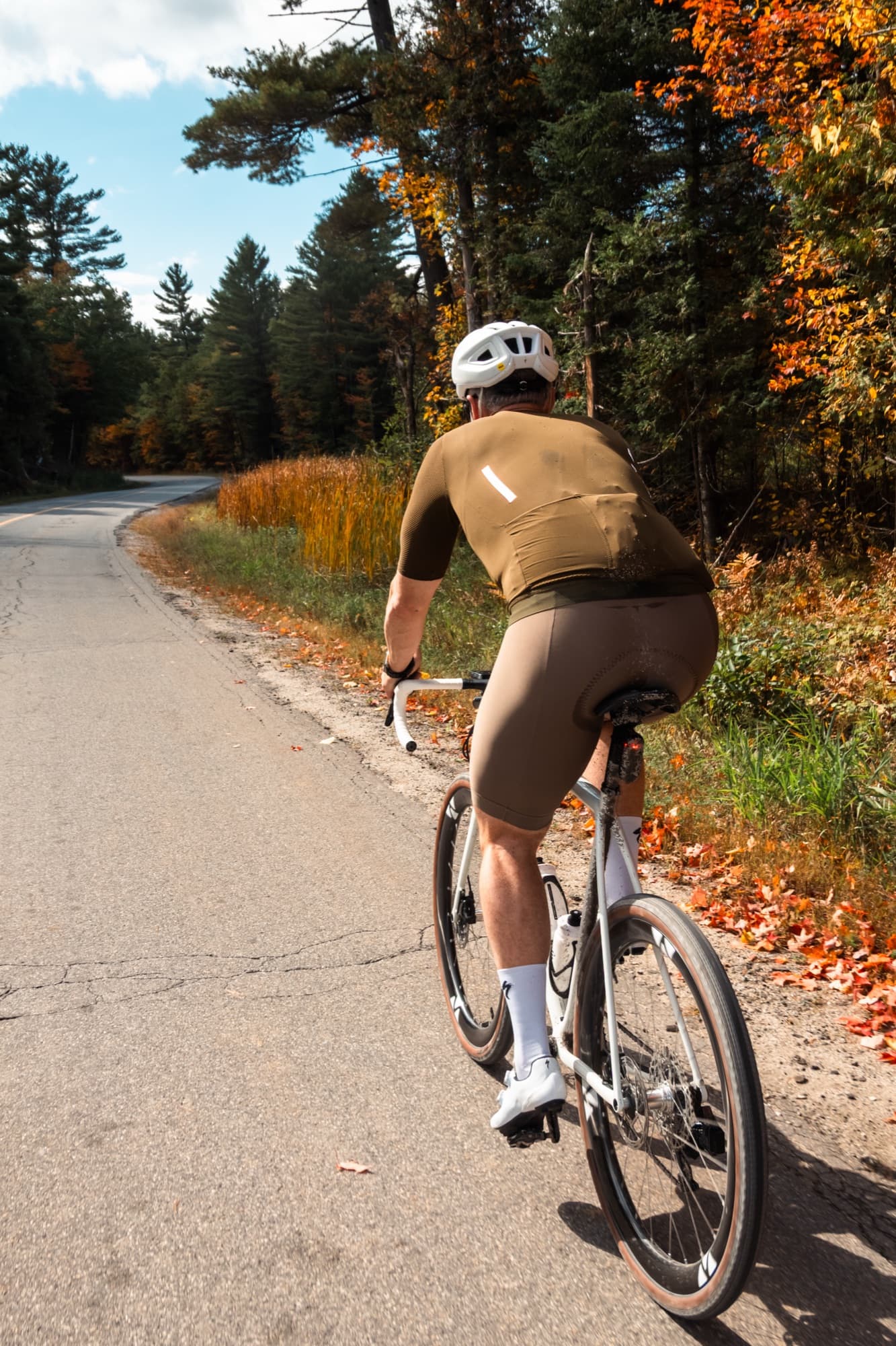 Fall colour on a quiet county road