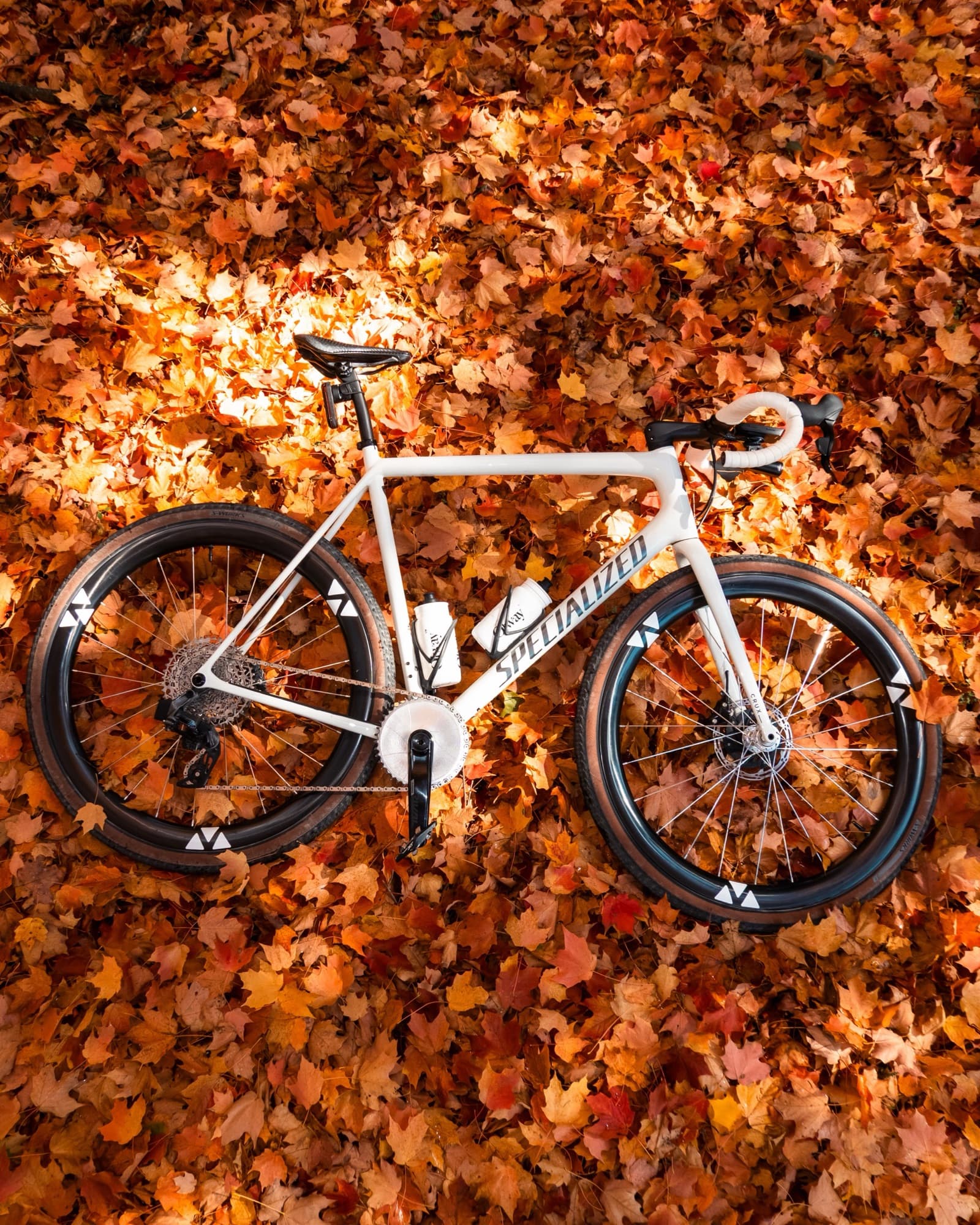 Leaf season