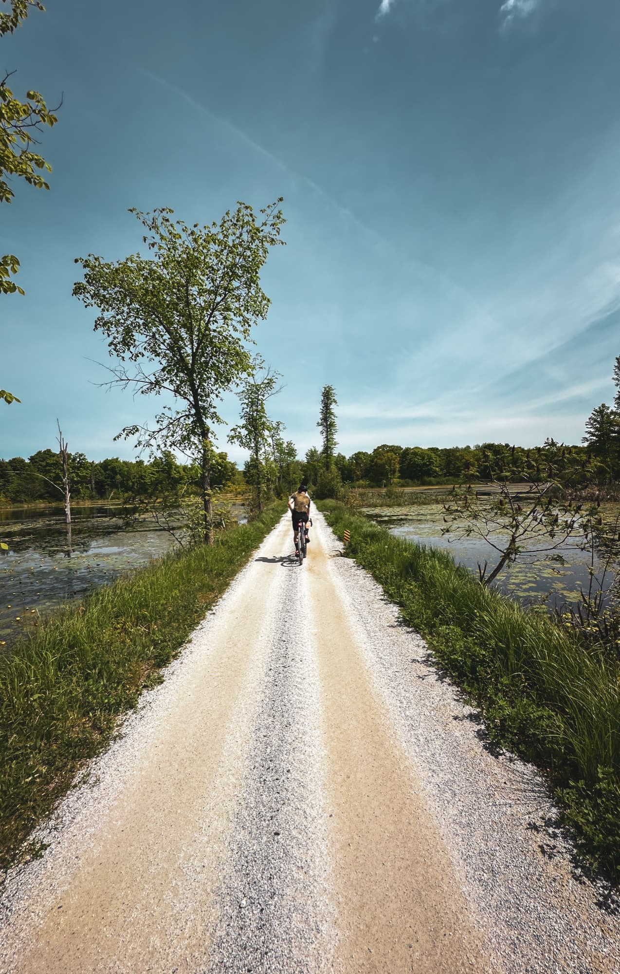 The rail trail across the wetland