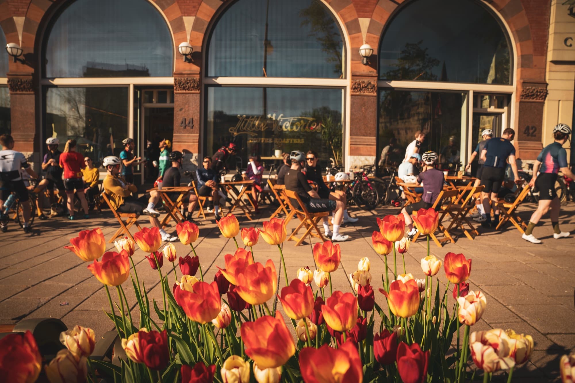 Tulip season on Elgin Street