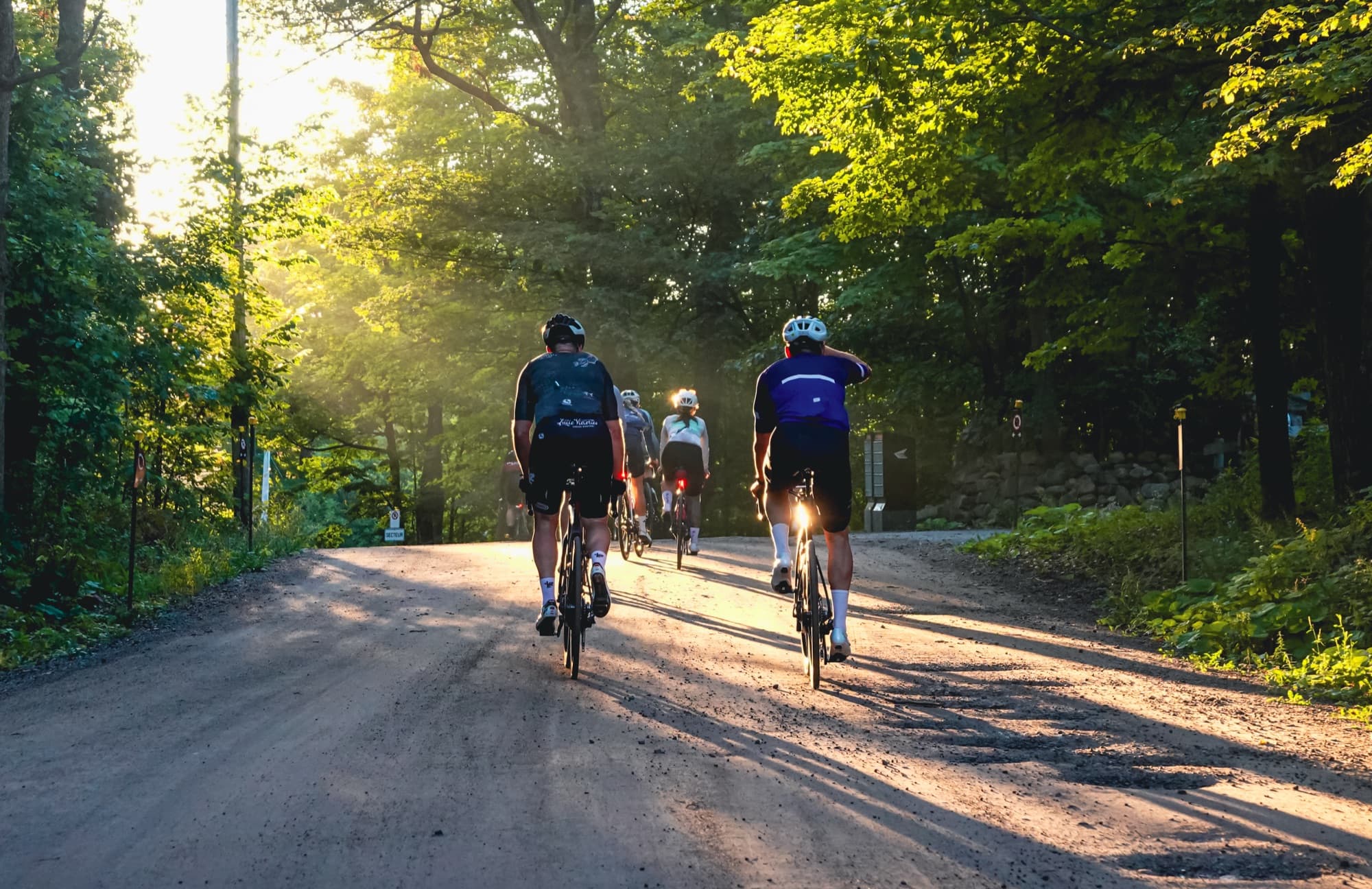 Morning light on the park roads