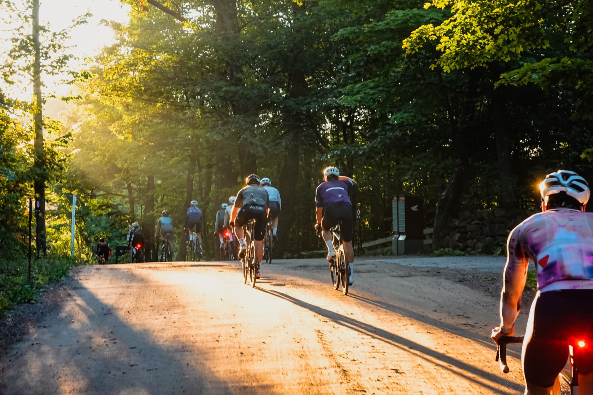 Into Gatineau Park as the sun comes up