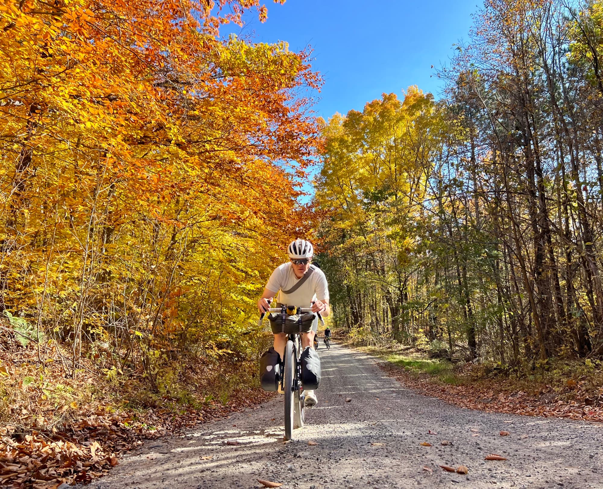 The Best Fall-Colour Rides in Ottawa–Gatineau