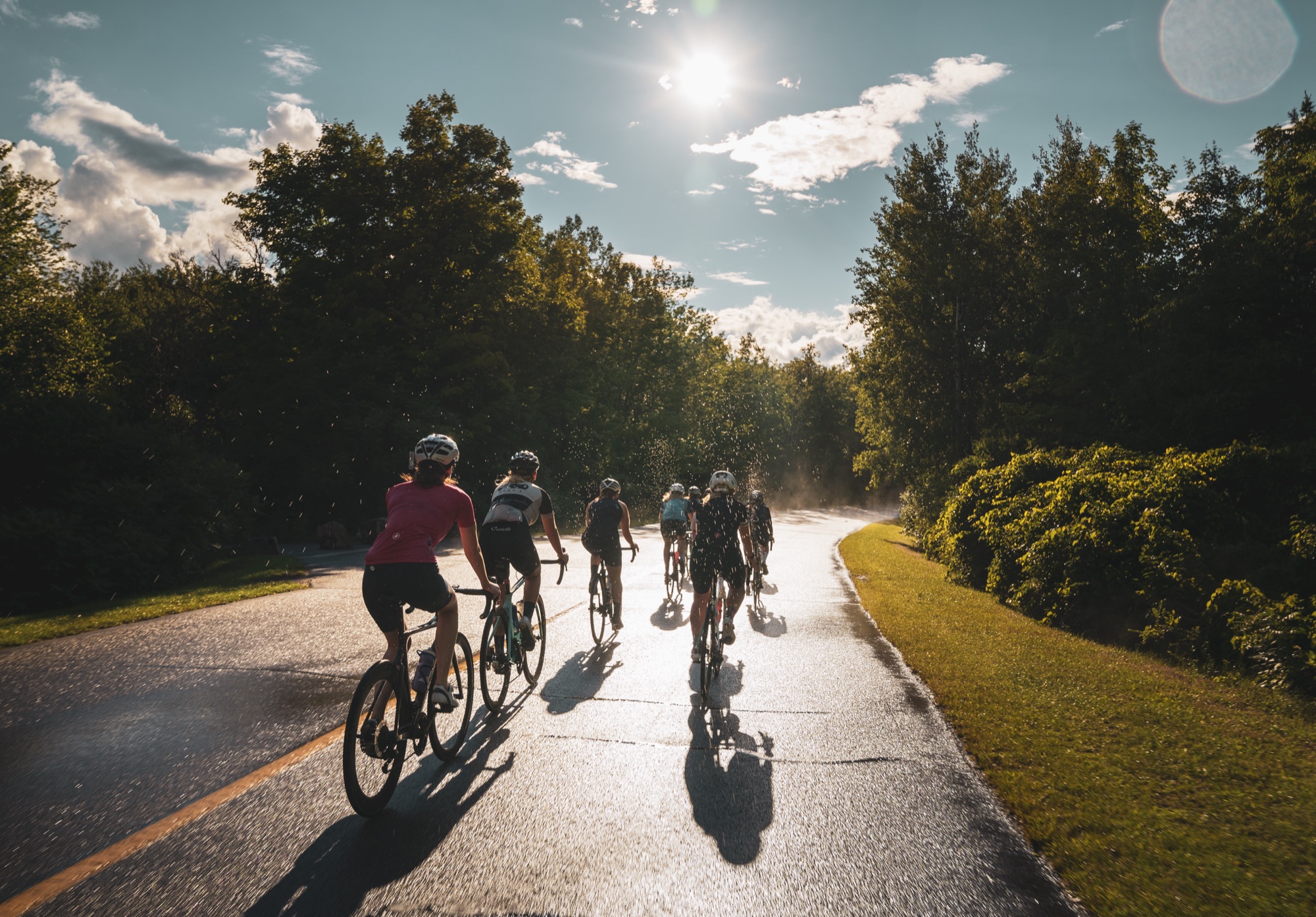 Evening sun on the Gatineau Parkway
