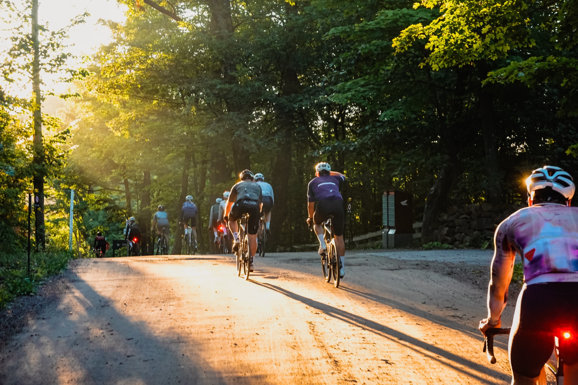 Into Gatineau Park as the sun comes up